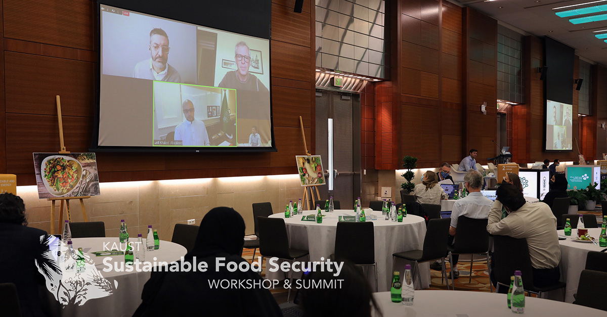 KAUST Workshop for Sustainable Food Security CDA DAY2-21a